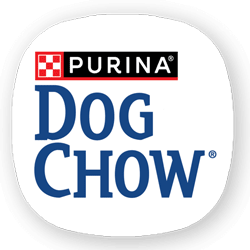 داگ چو | Dog chow
