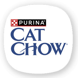 کت چو | Cat Chow