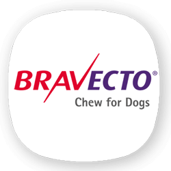 براوکتو | bravecto