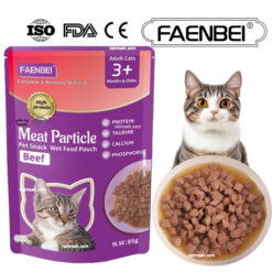 پوچ فنبی گربه طعم گوشت مدل چانکی 85 گرم