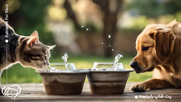 آب آشامیدنی برای گربه
