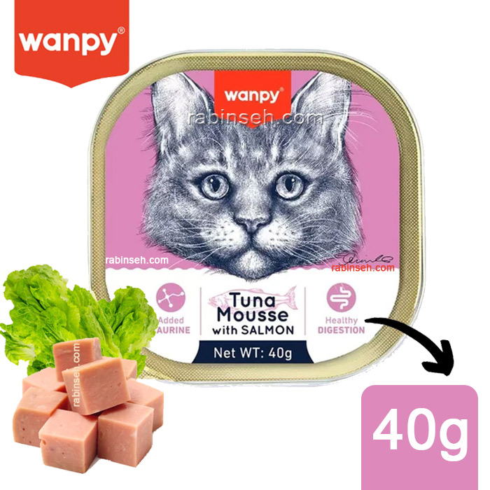 ووم گربه ونپی با طعم ماهی تن و سالمون مدل پته ای 40 گرم - انگلیسی نویس