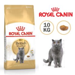 غذای خشک گربه بریتیش ادالت مو کوتاه رویال کنین 10 کیلویی + ارسال رایگان
