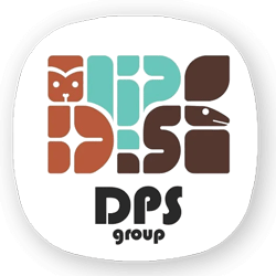 دی پی اس | DPS