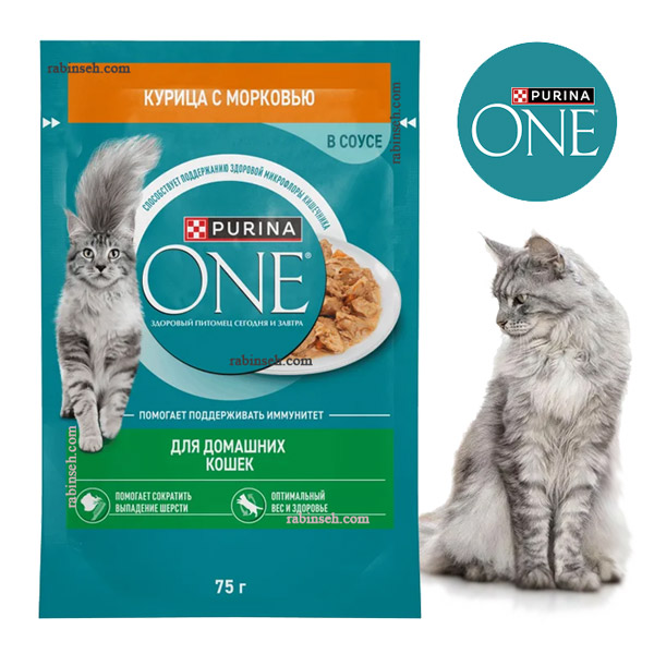 پوچ وان پورینا گربه بالغ مدل خورشتی طعم مرغ با هویج – روسیه