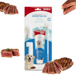 ست مسواک و خمیر دندان سگ بایولاین طعم استیک گوشت 100 گرمی