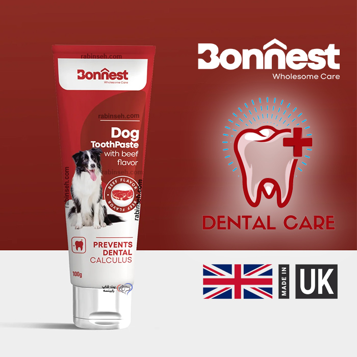 خمیر دندان سگ بونست انگلیس طعم گوشت 100 گرم
