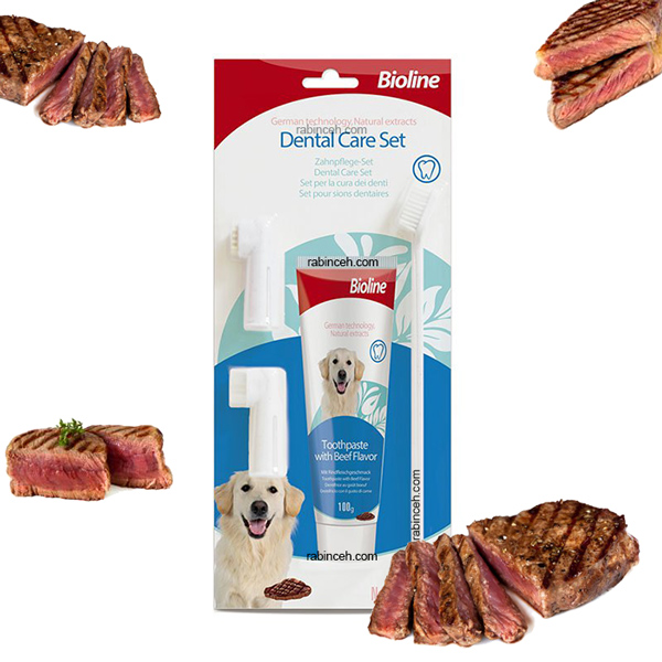 ست مسواک و خمیر دندان سگ بایولاین طعم استیک گوشت 100 گرمی