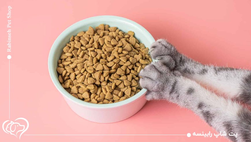 نقش پروتئین، چربی و فیبر در سلامت گربه