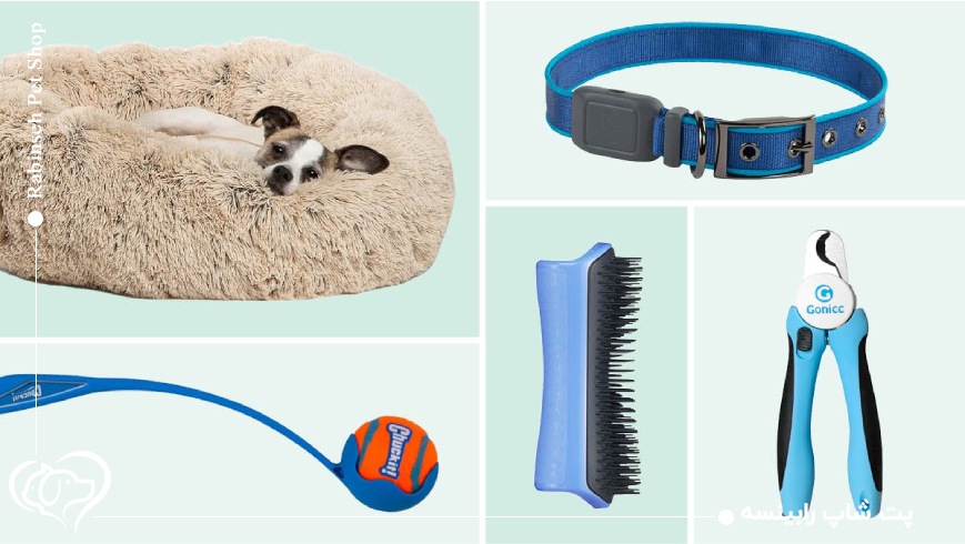 باکس حیوانات خانگی