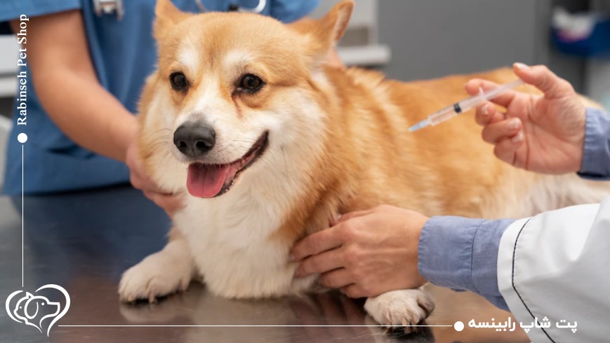 واکسیناسیون حیوانات خانگی