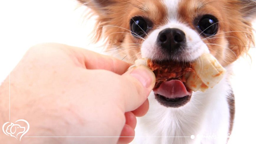 مراقبت‌های ویژه در دوران رشد، بارداری یا بیماری