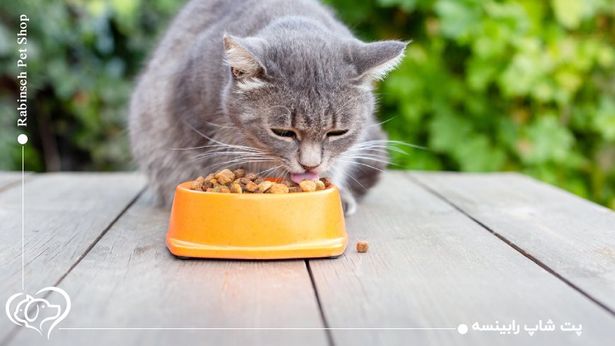 جوسرا لژر (کاهش وزن) – برای گربه‌های کم‌تحرک