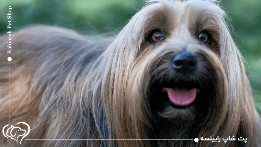 اهمیت نظافت و رسیدگی منظم به مو و پوست