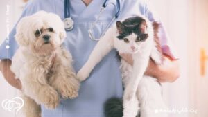 بهداشت و مراقبت از حیوانات خانگی