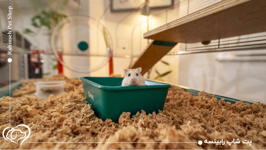 قفس برای همستر