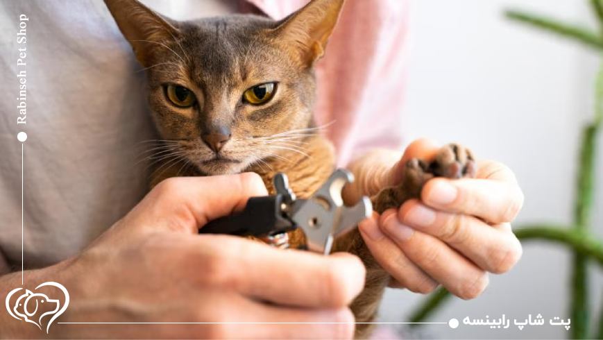 ناخن گیر گربه