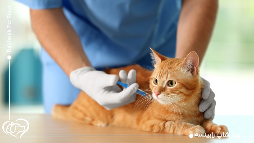 واکسن گربه