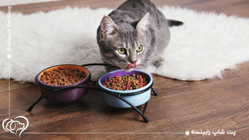 مقایسه قیمت و ارزش خرید غذای خشک گربه برندهای محبوب