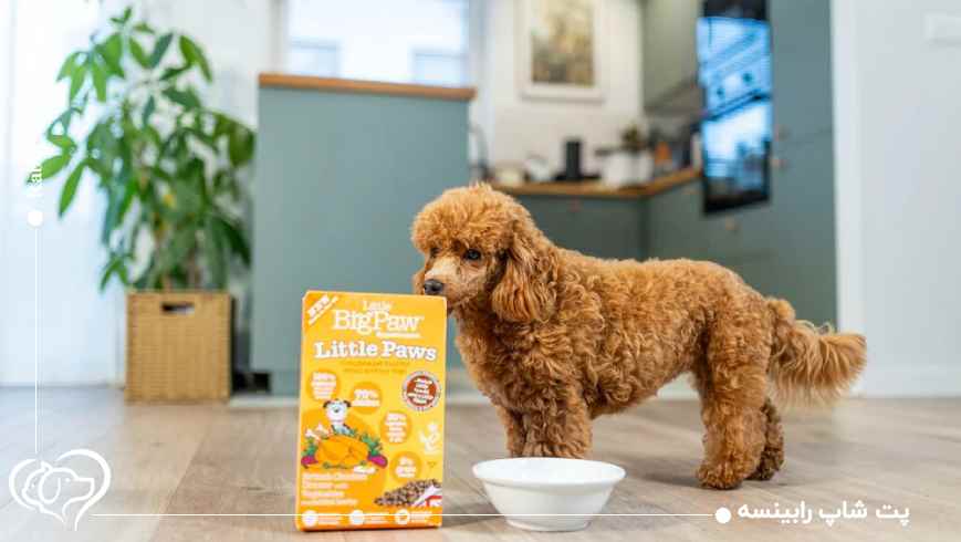 برندهای غذا خشک سگ کوچک