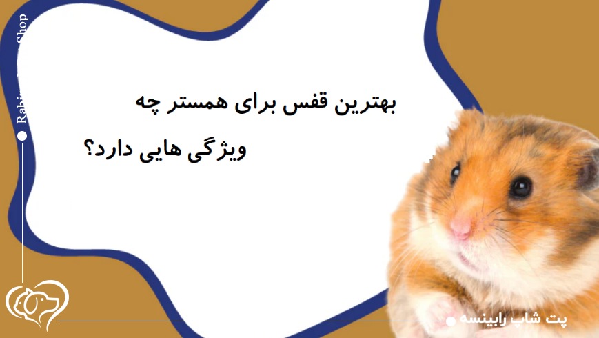 بهترین قفس برای همستر چه ویژگی هایی دارد؟