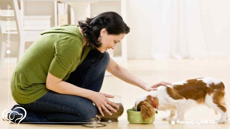 تفاوت غذای سگ‌های کوچک با سگ‌های نژاد بزرگ