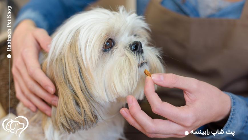 انواع مکمل‌های تقویتی برای سگ‌ها و کاربرد هرکدام