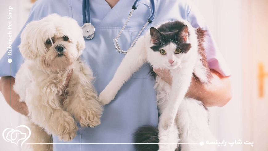 مراقبت از حیوانات خانگی