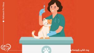 واکسیناسیون حیوانات خانگی؛ بایدها و نبایدهای آن