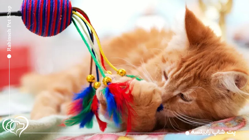 وسایل بهداشتی حیوانات خانگی