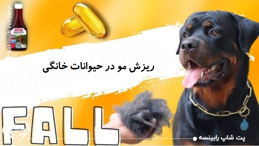 ریزش مو در حیوانات خانگی