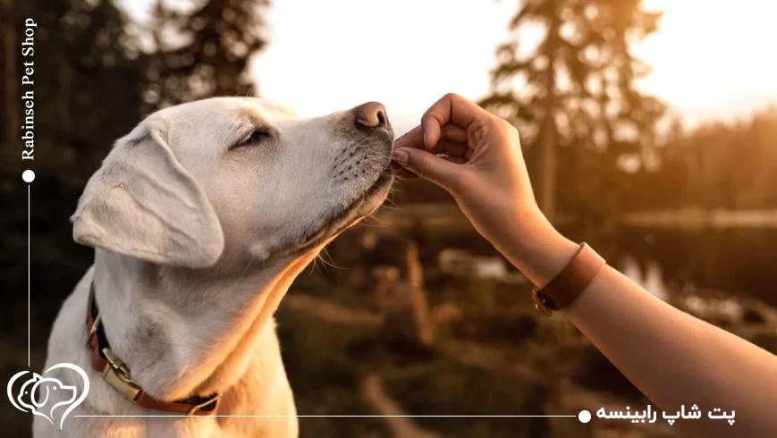 روش صحیح مصرف و مقدار دوز مناسب مکمل‌ها