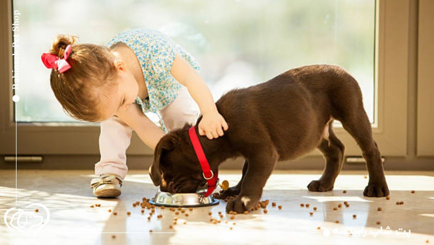 برنامه‌ریزی وعده‌های غذایی روزانه بر اساس سن و وزن