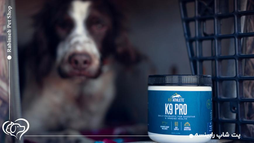 اسیدهای چرب امگا۳ و امگا۶ برای درخشندگی مو و سلامت پوست سگ‌ها