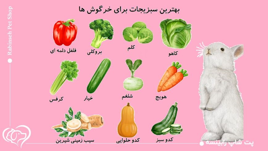 خوراکی سالم برای خرگوش