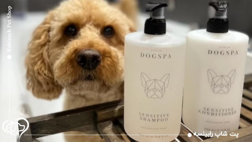 نکته پیشنهادی برای صاحبان حیوانات