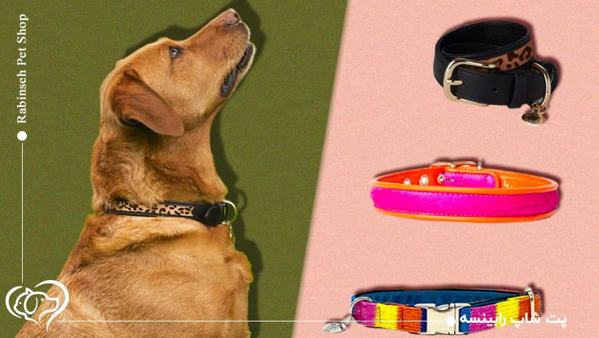 بررسی جنس‌های مختلف قلاده (چرم، نایلون، پارچه‌ای)