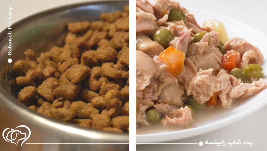 مزایا و معایب غذای خشک برای سگها و گربهها