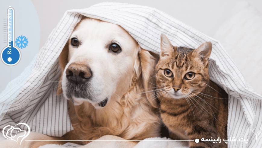 تغذیه و مراقبت‌های ویژه در روزهای سرد