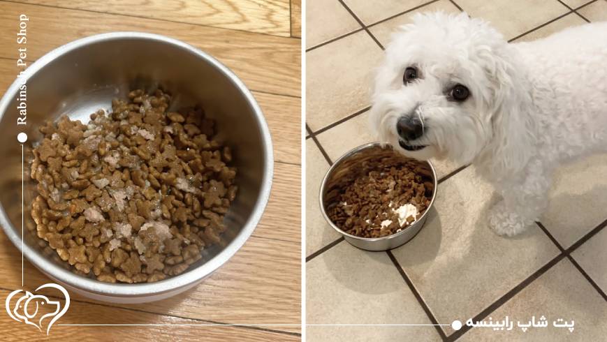 بایدها و نبایدهای تغذیهای برای نژادهای کار و نگهبان