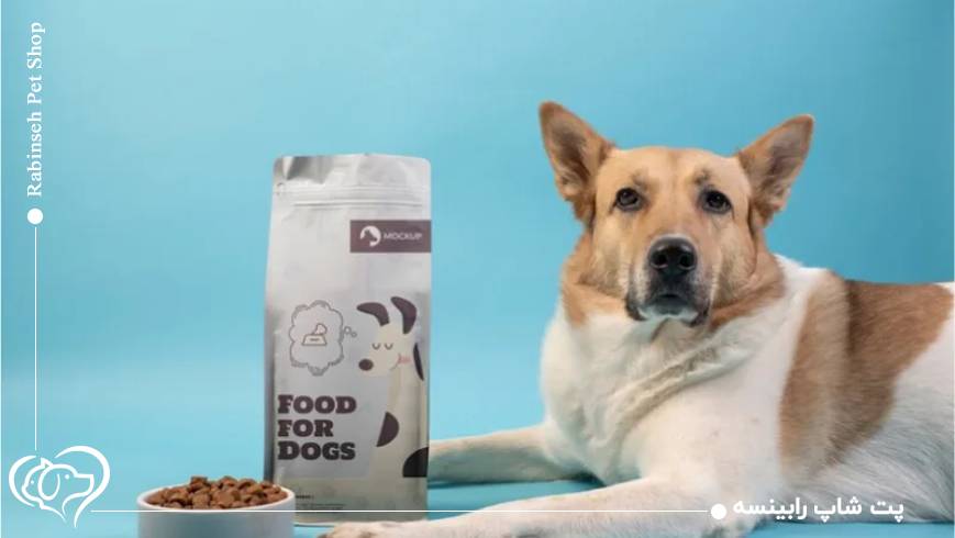 چطور بفهمیم یک غذا برای سگ یا گربه‌ ما مناسب است؟