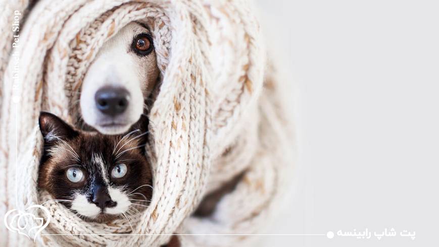 راهکارهای ایجاد محیط گرم و امن در خانه