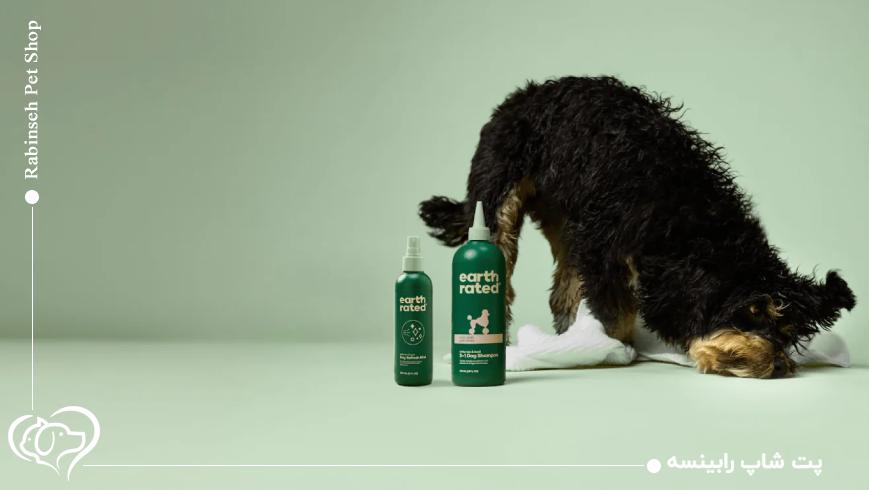 نکات مهم در زمان شست‌وشوی سگ