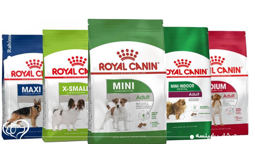 نکاتی که قبل از خرید غذای حیوانات خانگی باید بدانید