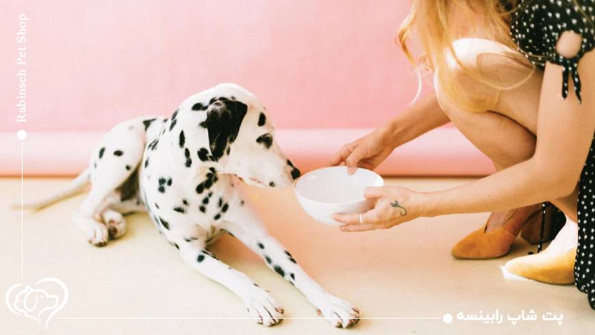 مواد غذایی ضروری برای نژادهای حساس و مستعد آلرژی