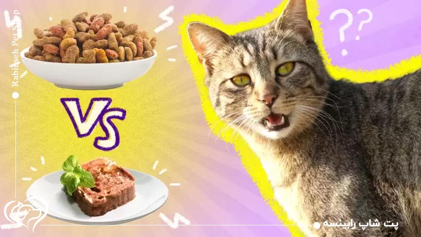تفاوت غذای خشک و غذای تر از نظر ماندگاری و نحوه نگهداری