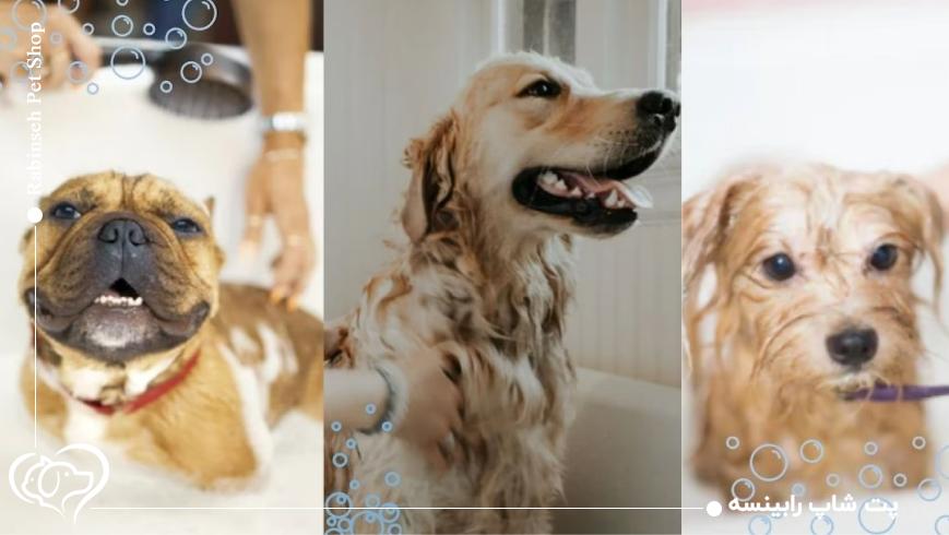 انواع شامپوهای سگ و کاربرد آن‌ها