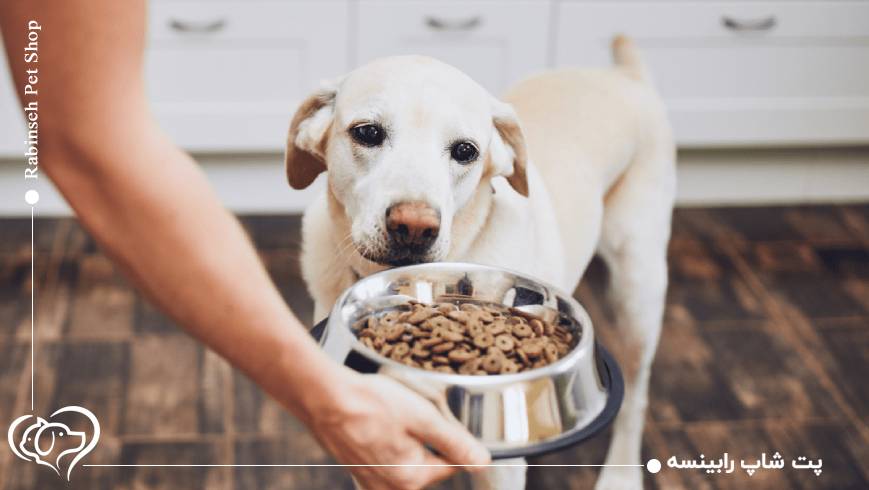 تاثیر سطح فعالیت نژادها بر میزان کالری مورد نیاز