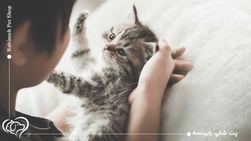 علائم هشداردهنده بیماری در بچه گربه‌ها