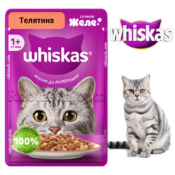 پوچ گربه ویسکاس روسیه طعم گوشت گوساله در ژله 75 گرم